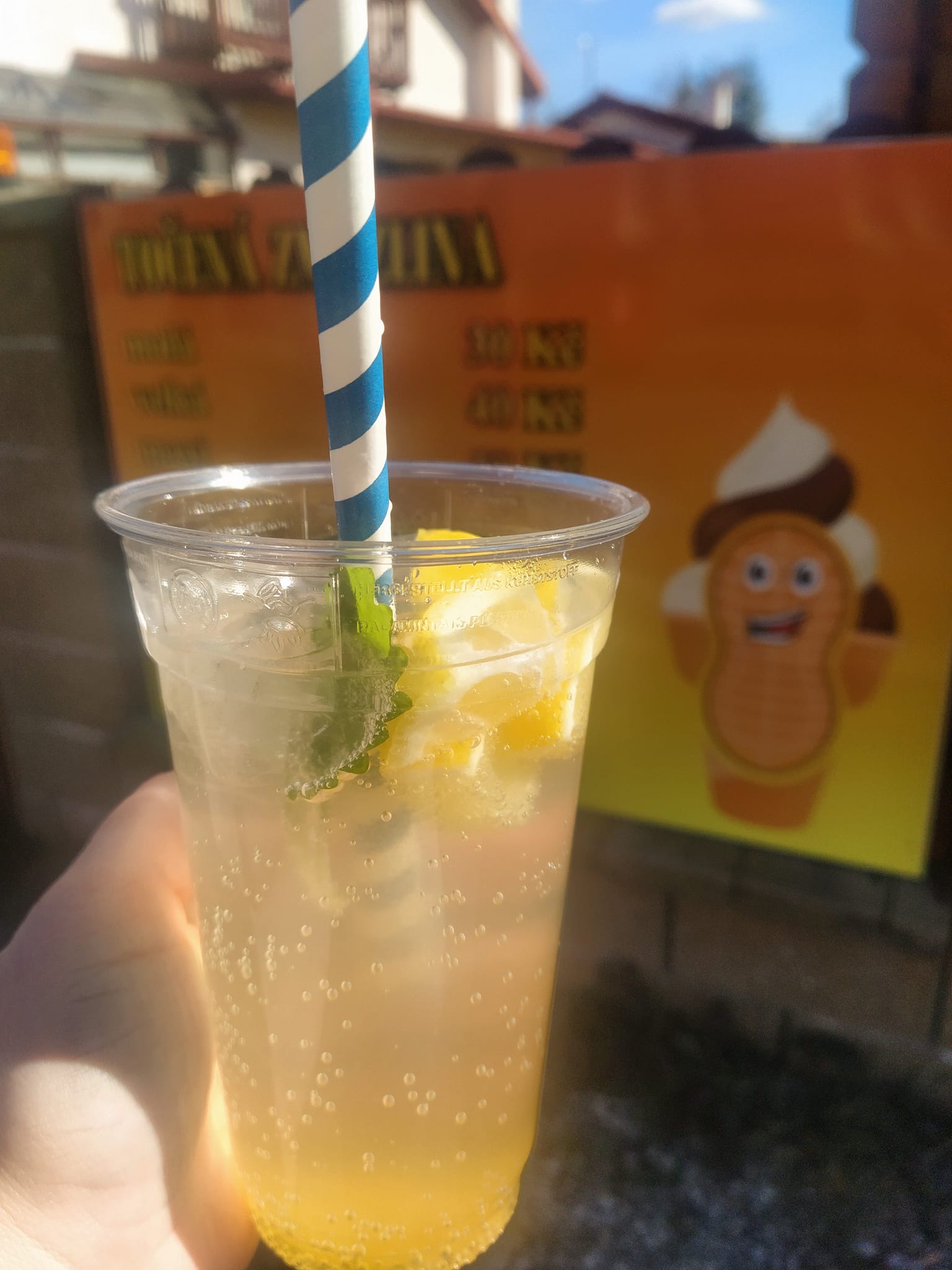 domácí limonáda